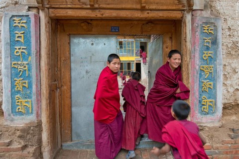 Young novices