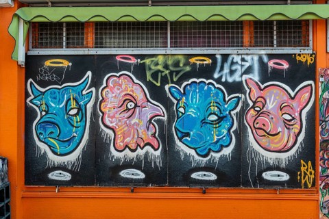 Colourful graffiti on a house