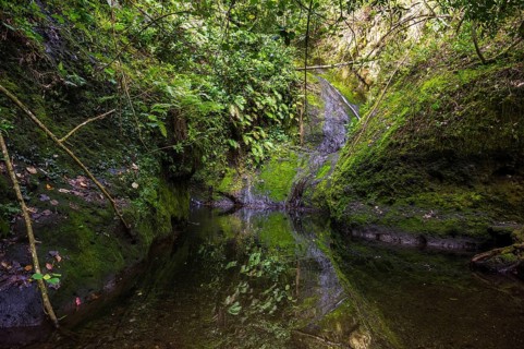 Wigmore's Waterfall