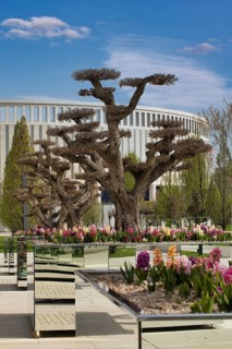 Stadium Krasnodar
