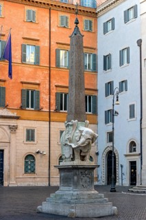 Pulcino della Minerva