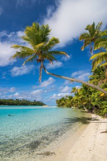 White sand and palm fringed beach in Aitutaki lagoon