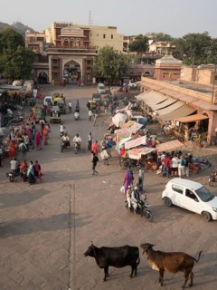 Sardar Market