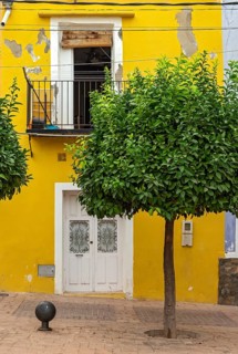 Tree and Yellow-painted House Front