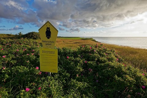 Sign nature reserve with pictogram owl in Braderup Heath
