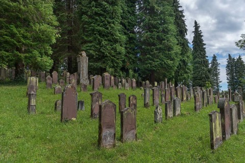 Historic Jewish cemetery