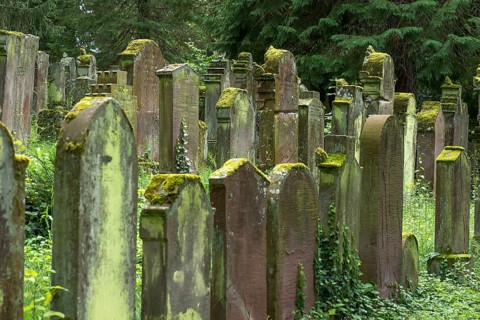 Historic Jewish cemetery