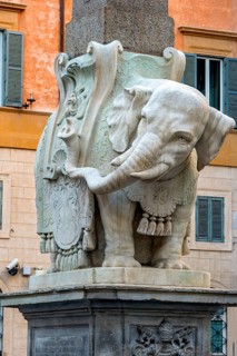 Pulcino della Minerva