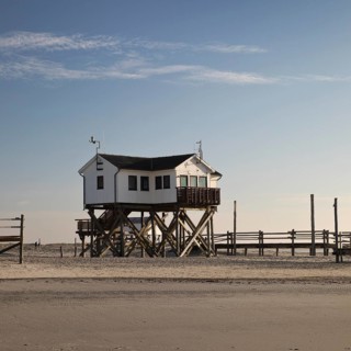 Pile dwelling in the mudflats at low tide