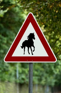 Traffic sign