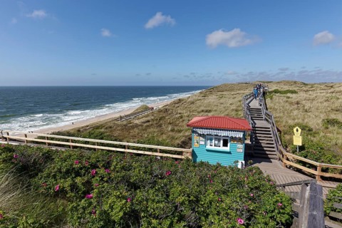 Beach and dune walkway on boardwalks