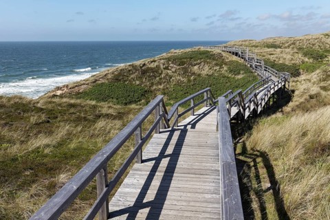 Dune hiking trail on boardwalks