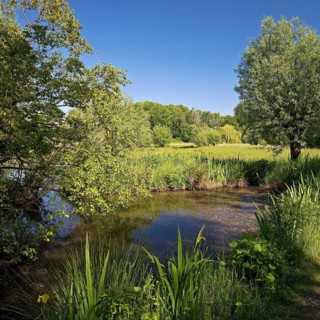 Floodplain landscape with the Erft in spring
