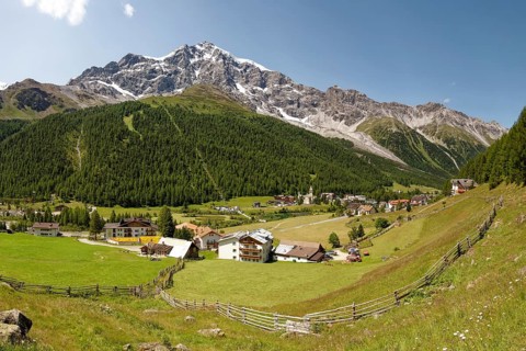 Mountain meadow with fence