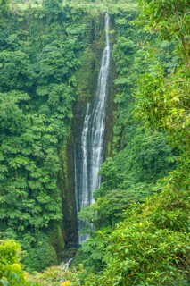 Papapapai-Tai Falls