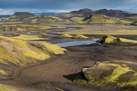 Mossy hills