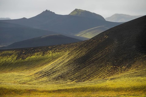 Mossy hills