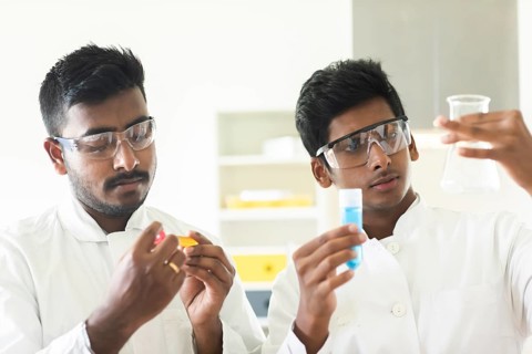 Students in an internship at the university