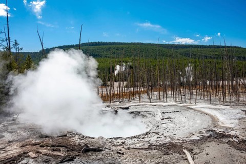 Steaming hot spring