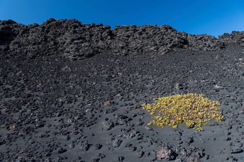 Lava rock
