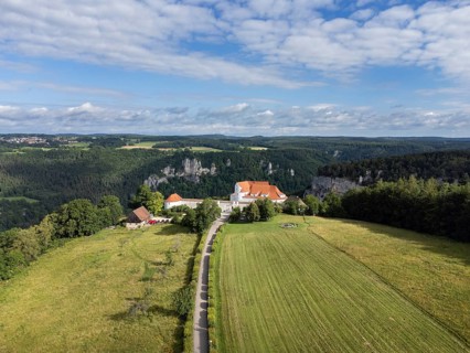 Wildenstein Castle