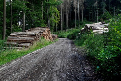 Hiking trail to the Teufelskanzel