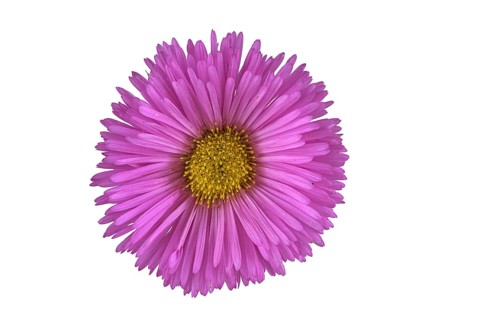 Fine beam aster