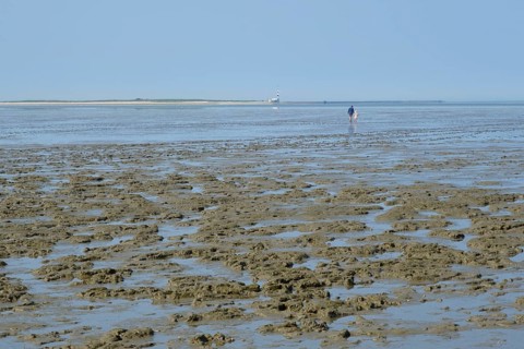 Hikers on the mudflats
