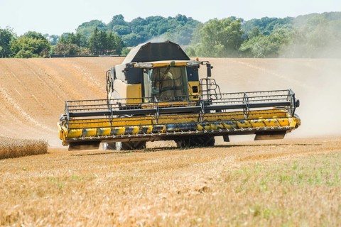 Threshing of grain with combine harvester at Ystad