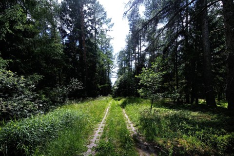 Kolonnenweg