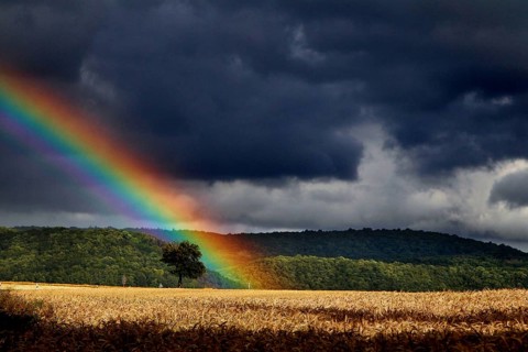 Rainbow over field in the Werratal