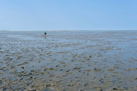 Hikers on the mudflats