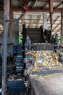 Sugar cane mill for traditional rum production