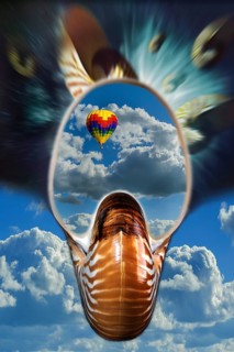 PHOTOMONTAGE