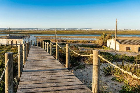 Wooden walkways with view on wetlands of Ria Formosa on Faro Beach Peninsula