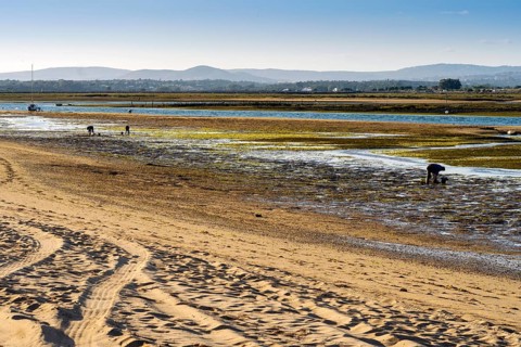 Ria Formosa during low tide with people gathering the seafood