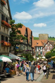 Town view