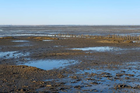 Low tide on the North Sea coast