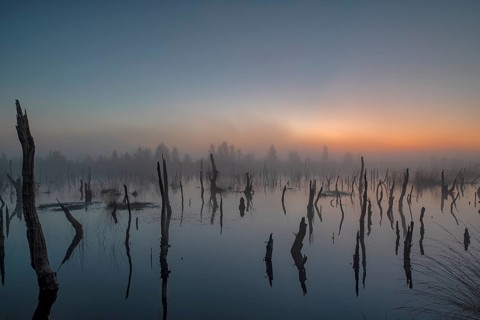 Rehdener-Geestmoor