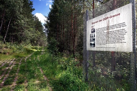 Border fence