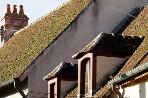 House roofs in the Rue de Jouy