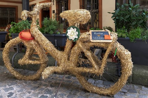 Bicycle wrapped in straw