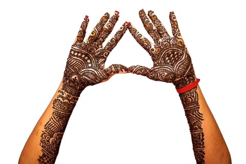 Indian Bride's hand painted with mehndi isolated on white background. Mauritius