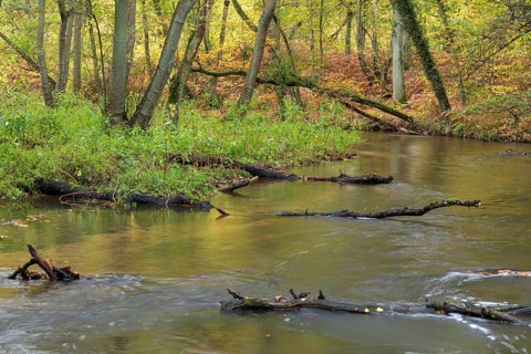 Autumn on the Schwalm