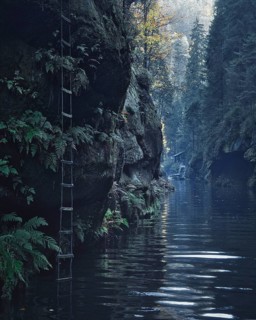 Ladder in Kamnitzklamm