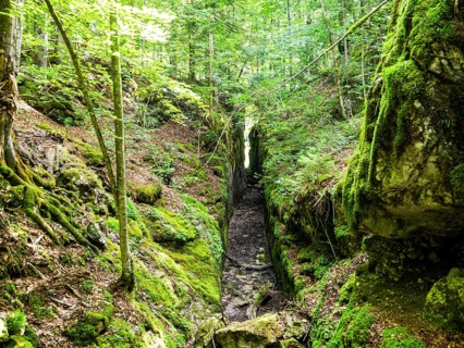 Alluvial canal for timber transport between Kammersee and Toplitzsee