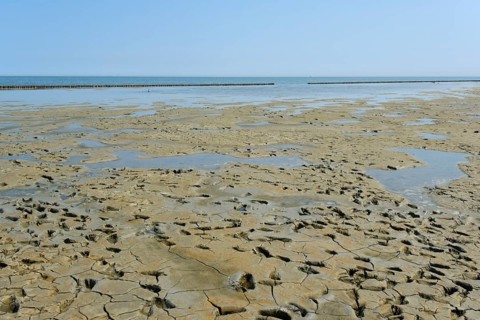 Footprints in the mudflats