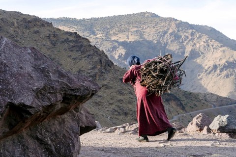 Berber woman carrying fire wood on the back in High Atlas mountains