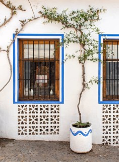 Window and flowerpot