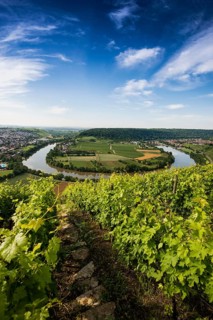 Neckar Loop and Vineyards